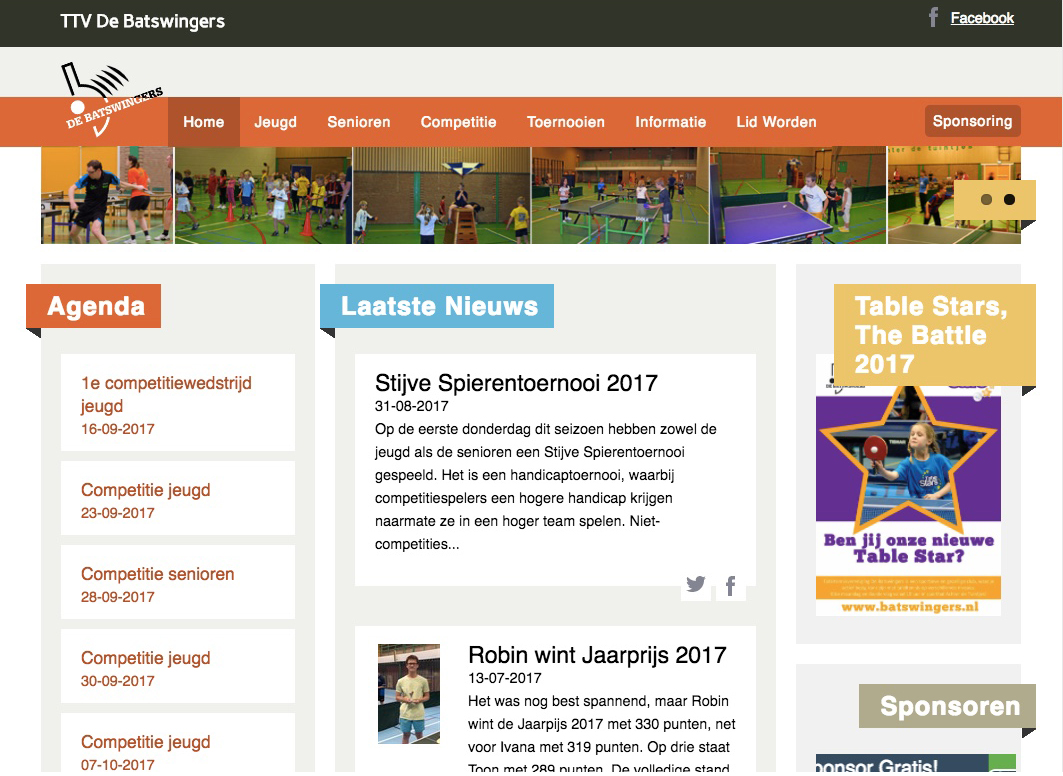 screenshot website 2017