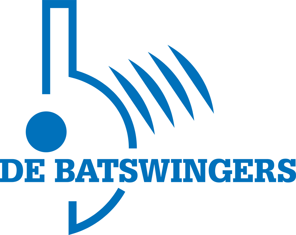 batswingers logo